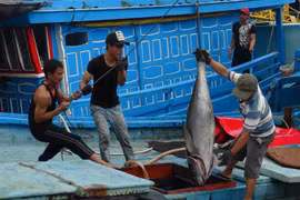 Worker safety at risk, especially in fishing
