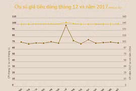 2017- successful year in inflation control: GSO