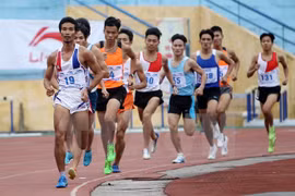 Vietnam aims for at least 49 golds at SEA Games 29
