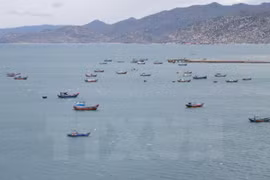 Ca Mau moves to fight illegal fishing off foreign waters