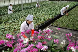 Lawmakers urge strong boost to fruit & vegie export, logistics sector