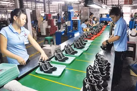 2011-16: VN gains almost 60bln USD in footwear export