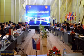 ASEAN working group for health supplements meets in Da Nang