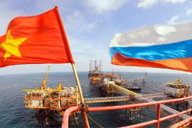 Workshop promotes Vietnam - Russia trade ties
