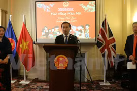 Vietnamese community in UK, Brazil celebrate Tet 