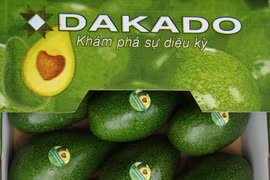 Dak Lak avocado targets world market