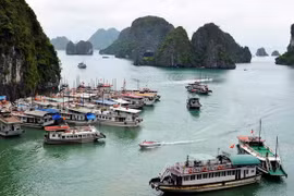 Ha Long attractive to real estate, tourism firms