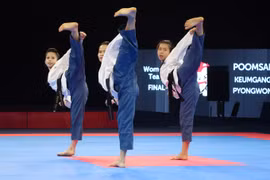 Taekwondo stars to compete on Greek beach