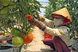 Farming start-ups need more help