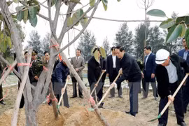 President calls for widespread response to tree planting festival
