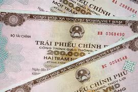 Government bonds become darling of foreign investors