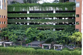 Green building trending: experts