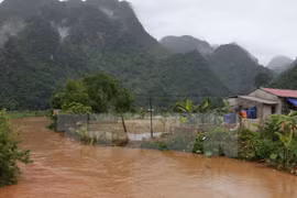 Thanh Hoa builds storm shelter in response to climate change