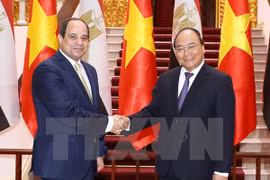 Vietnam, Egypt strive for 1 billion USD trade 