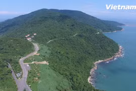 Da Nang focuses on developing Son Tra tourism area
