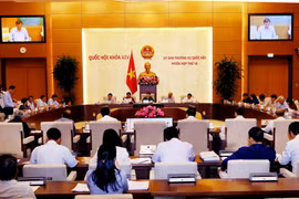 NA Standing Committee examines anti-corruption work 