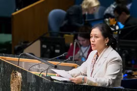 UN peacekeeping operations need reform: Ambassador Nga