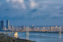 Da Nang promotes APEC Vietnam 2017