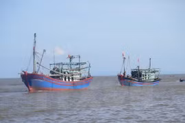 Vietnam won’t tolerate IUU fishing: MARD