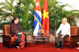 Vietnam, Cuba vow to reinforce relations