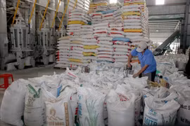 Rice exports to Russia shoots up 700 percent
