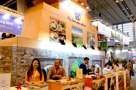 Vietnam promotes tourism at Paris international fair