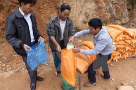 Over 14,000 tonnes of rice provided for the needy during Tet