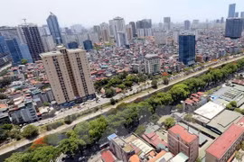 Construction rules to be cut