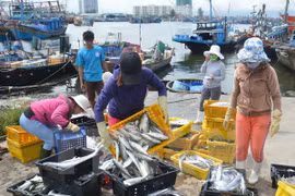 Urgent measures taken to respond to EU’s warning on IUU fishing