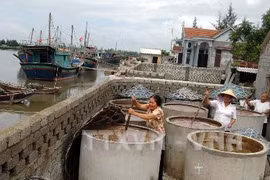 Nghe An builds seafood processing centres