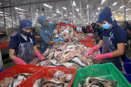 Unsafe produce hurting exports