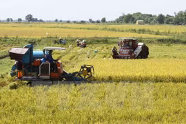 Preliminary outcomes of rural, agricultural survey announced