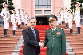 Vietnam, Singapore hold 8th defence policy dialogue