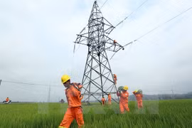Power sector seeks way to go green over power shortage
