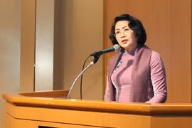 Vietnam welcomes Japanese businesses: Vice President 