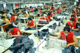 Free trade agreement helps boost Vietnam-EAEU trade