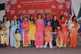 Vietnamese nationals in Mexico celebrate Tet 