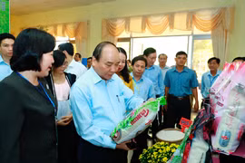 It’s time to reform Vietnam’s rice sector, says Prime Minister