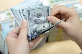 Vietnam dong devalued 1.1 percent in 2016