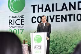 Thailand promoted as world's rice trade centre