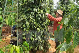 Seminar seeks to develop productive, quality agriculture 