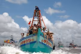 Bac Lieu fishermen enjoy good catches 