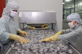 Ca Mau restructures key economic sectors
