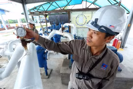 PetroVietnam to complete divestment by 2020