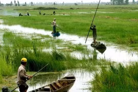 Mekong provinces work to build water pumping stations