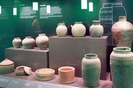 Vietnam archaeological treasures exhibition successful in Germany