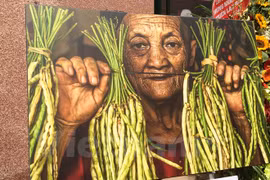 French photographer opens heritage museum in Vietnam