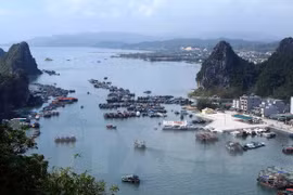 Missing foreign tourist found drowned in Ha Long Bay