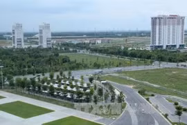 Taiwanese firms launch 19-mln-USD production area in Binh Duong