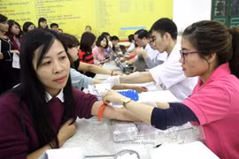Phu Tho collects 1,000 blood units during Red Spring Festival